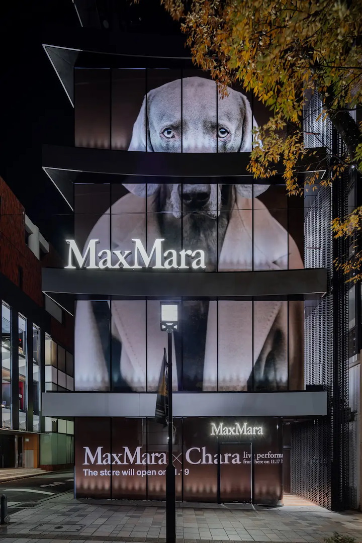 Max Mara Tokyo