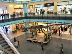 Chodov Shopping Mall