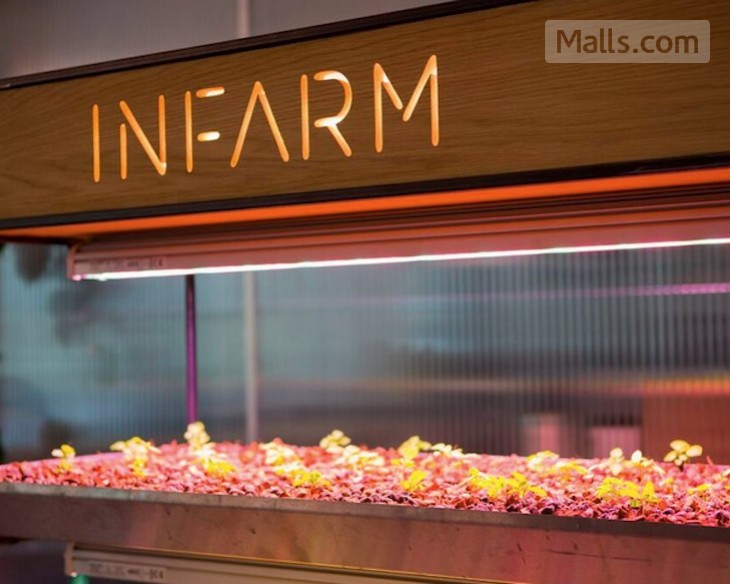 Marks & Spencer Creates Urban Farms Right in Stores