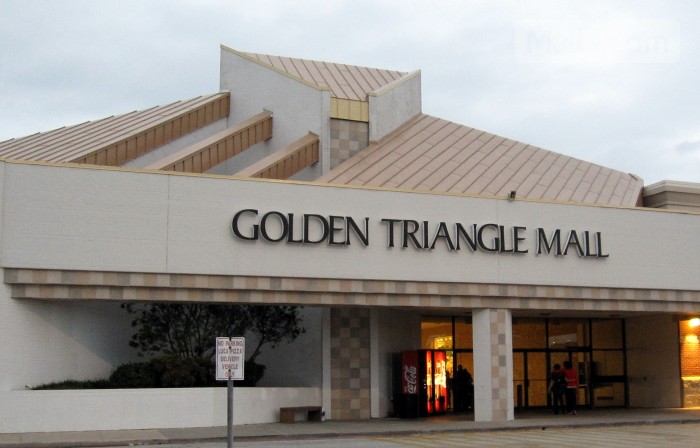 Golden Triangle Mall photo